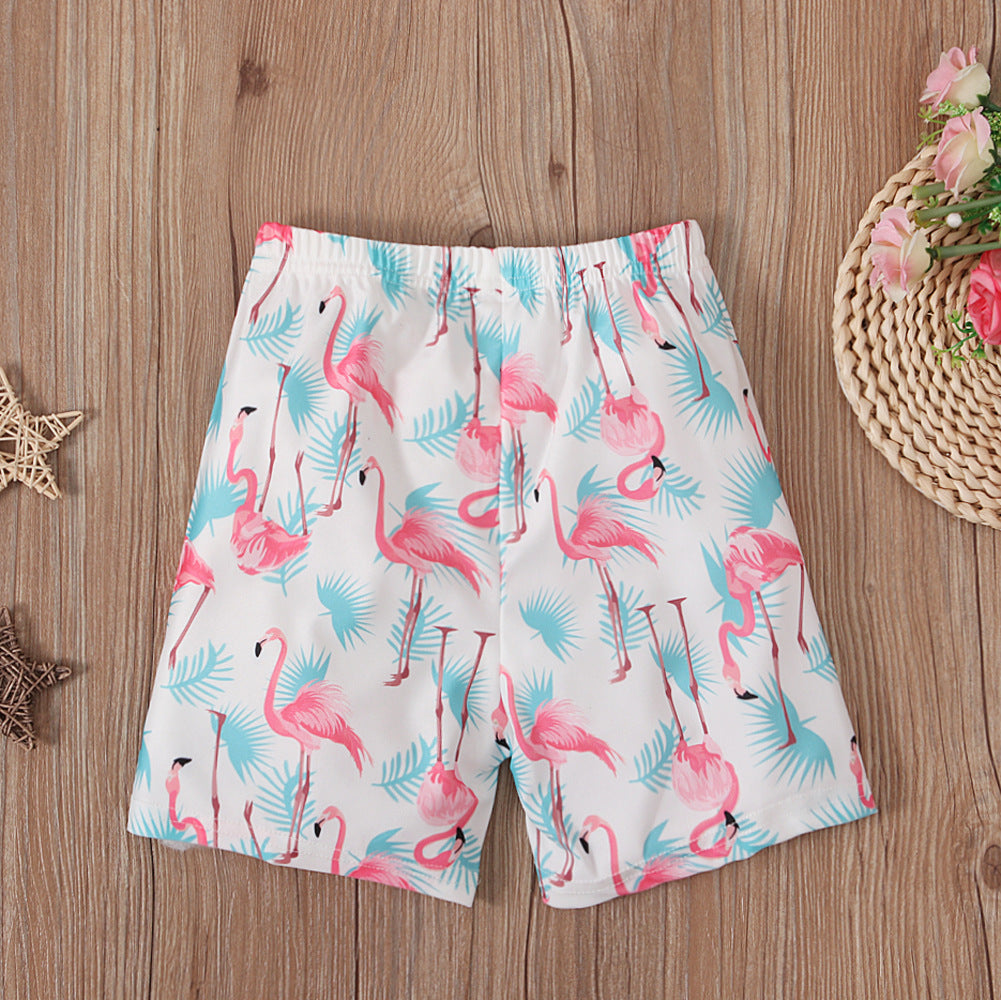 Wholesale Boys' Summer Crane Printed Boxer Briefs and Quarter Pants